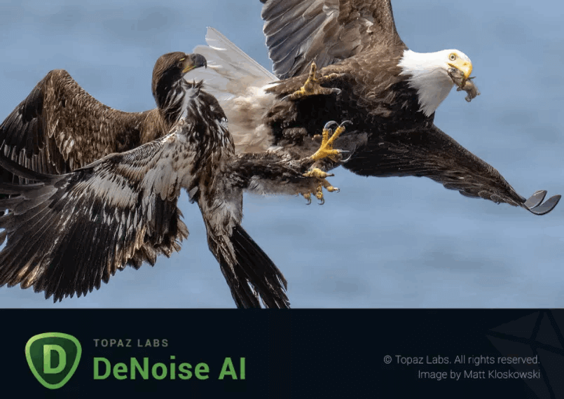 Topaz DeNoise AI破解版_v3.7.1_绿色便携版